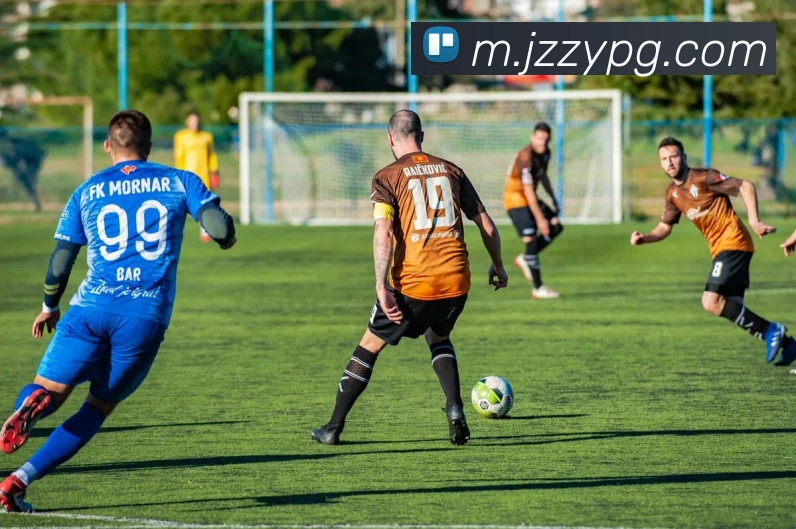 数据防护可视化